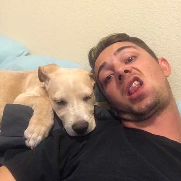 Meet your Posher, Paul - Picture 1 of 1